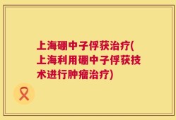 上海硼中子俘获治疗(上海利用硼中子俘获技术进行肿瘤治疗)