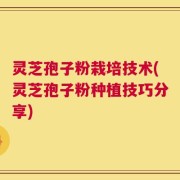 灵芝孢子粉栽培技术(灵芝孢子粉种植技巧分享)
