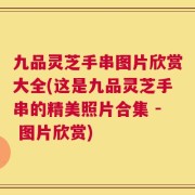 九品灵芝手串图片欣赏大全(这是九品灵芝手串的精美照片合集 - 图片欣赏)