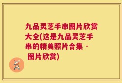 九品灵芝手串图片欣赏大全(这是九品灵芝手串的精美照片合集 - 图片欣赏)