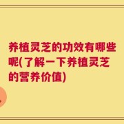 养植灵芝的功效有哪些呢(了解一下养植灵芝的营养价值)