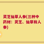 灵芝仙草人参(三种中药材：灵芝、仙草和人参)