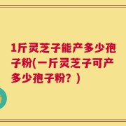 1斤灵芝子能产多少孢子粉(一斤灵芝子可产多少孢子粉？)