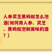 人参灵芝黑蚂蚁怎么泡酒(如何用人参、灵芝、黑蚂蚁泡制美味的酒？)