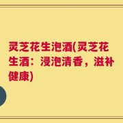 灵芝花生泡酒(灵芝花生酒：浸泡清香，滋补健康)