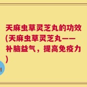 天麻虫草灵芝丸的功效(天麻虫草灵芝丸——补脑益气，提高免疫力)