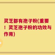 灵芝都有孢子粉(重要！灵芝孢子粉的功效与作用)