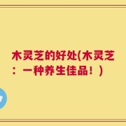 木灵芝的好处(木灵芝：一种养生佳品！)