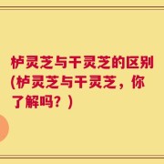 栌灵芝与干灵芝的区别(栌灵芝与干灵芝，你了解吗？)