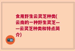 食用野生云灵芝种类(云南的一种野生灵芝——云灵芝种类和特点简介)