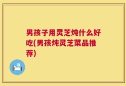 男孩子用灵芝炖什么好吃(男孩炖灵芝菜品推荐)