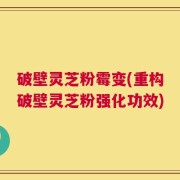 破壁灵芝粉霉变(重构破壁灵芝粉强化功效)