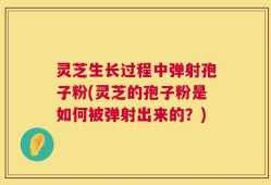 灵芝生长过程中弹射孢子粉(灵芝的孢子粉是如何被弹射出来的？)