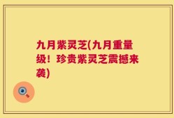 九月紫灵芝(九月重量级！珍贵紫灵芝震撼来袭)