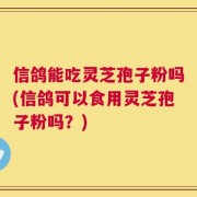 信鸽能吃灵芝孢子粉吗(信鸽可以食用灵芝孢子粉吗？)