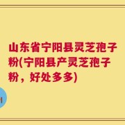 山东省宁阳县灵芝孢子粉(宁阳县产灵芝孢子粉，好处多多)