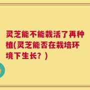 灵芝能不能栽活了再种植(灵芝能否在栽培环境下生长？)