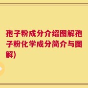 孢子粉成分介绍图解孢子粉化学成分简介与图解)