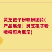灵芝孢子粉喷粉图片(产品展示：灵芝孢子粉喷粉照片展示)