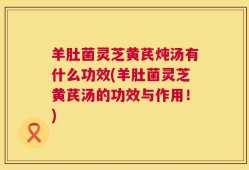 羊肚菌灵芝黄芪炖汤有什么功效(羊肚菌灵芝黄芪汤的功效与作用！)