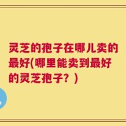 灵芝的孢子在哪儿卖的最好(哪里能卖到最好的灵芝孢子？)