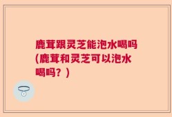 鹿茸跟灵芝能泡水喝吗(鹿茸和灵芝可以泡水喝吗？)