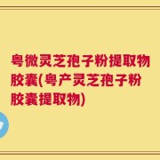 粤微灵芝孢子粉提取物胶囊(粤产灵芝孢子粉胶囊提取物)