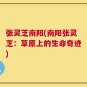 张灵芝南阳(南阳张灵芝：草原上的生命奇迹)