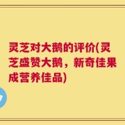 灵芝对大鹅的评价(灵芝盛赞大鹅，新奇佳果成营养佳品)