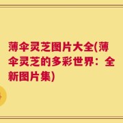 薄伞灵芝图片大全(薄伞灵芝的多彩世界：全新图片集)