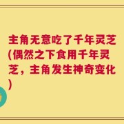 主角无意吃了千年灵芝(偶然之下食用千年灵芝，主角发生神奇变化)