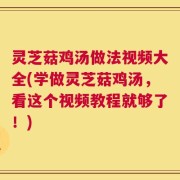 灵芝菇鸡汤做法视频大全(学做灵芝菇鸡汤，看这个视频教程就够了！)