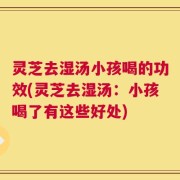 灵芝去湿汤小孩喝的功效(灵芝去湿汤：小孩喝了有这些好处)
