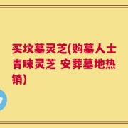 买坟墓灵芝(购墓人士青睐灵芝 安葬墓地热销)