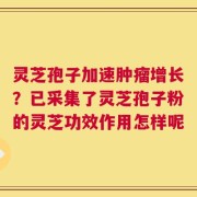 灵芝孢子加速肿瘤增长？已采集了灵芝孢子粉的灵芝功效作用怎样呢