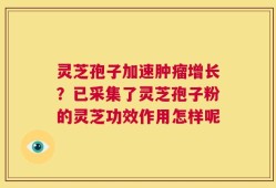 灵芝孢子加速肿瘤增长？已采集了灵芝孢子粉的灵芝功效作用怎样呢