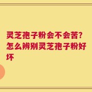 灵芝孢子粉会不会苦？怎么辨别灵芝孢子粉好坏