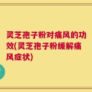 灵芝孢子粉对痛风的功效(灵芝孢子粉缓解痛风症状)
