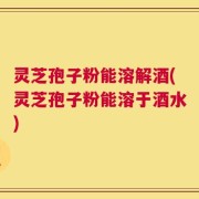 灵芝孢子粉能溶解酒(灵芝孢子粉能溶于酒水)