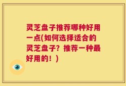 灵芝盘子推荐哪种好用一点(如何选择适合的灵芝盘子？推荐一种最好用的！)