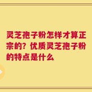 灵芝孢子粉怎样才算正宗的？优质灵芝孢子粉的特点是什么
