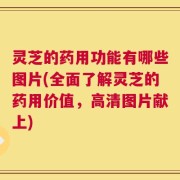灵芝的药用功能有哪些图片(全面了解灵芝的药用价值，高清图片献上)
