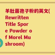 羊肚菌孢子粉的英文(Rewritten Title Spore Powder of Morel Mushroom)