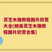 灵芝木雕教程图片欣赏大全(精美灵芝木雕教程图片欣赏合集)