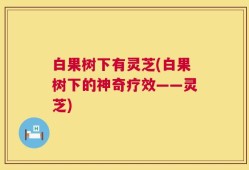 白果树下有灵芝(白果树下的神奇疗效——灵芝)