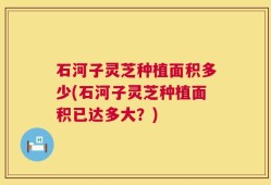 石河子灵芝种植面积多少(石河子灵芝种植面积已达多大？)