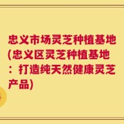 忠义市场灵芝种植基地(忠义区灵芝种植基地：打造纯天然健康灵芝产品)