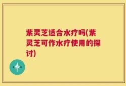 紫灵芝适合水疗吗(紫灵芝可作水疗使用的探讨)