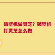 破壁机做灵芝？破壁机打灵芝怎么做