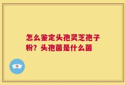 怎么鉴定头孢灵芝孢子粉？头孢菌是什么菌